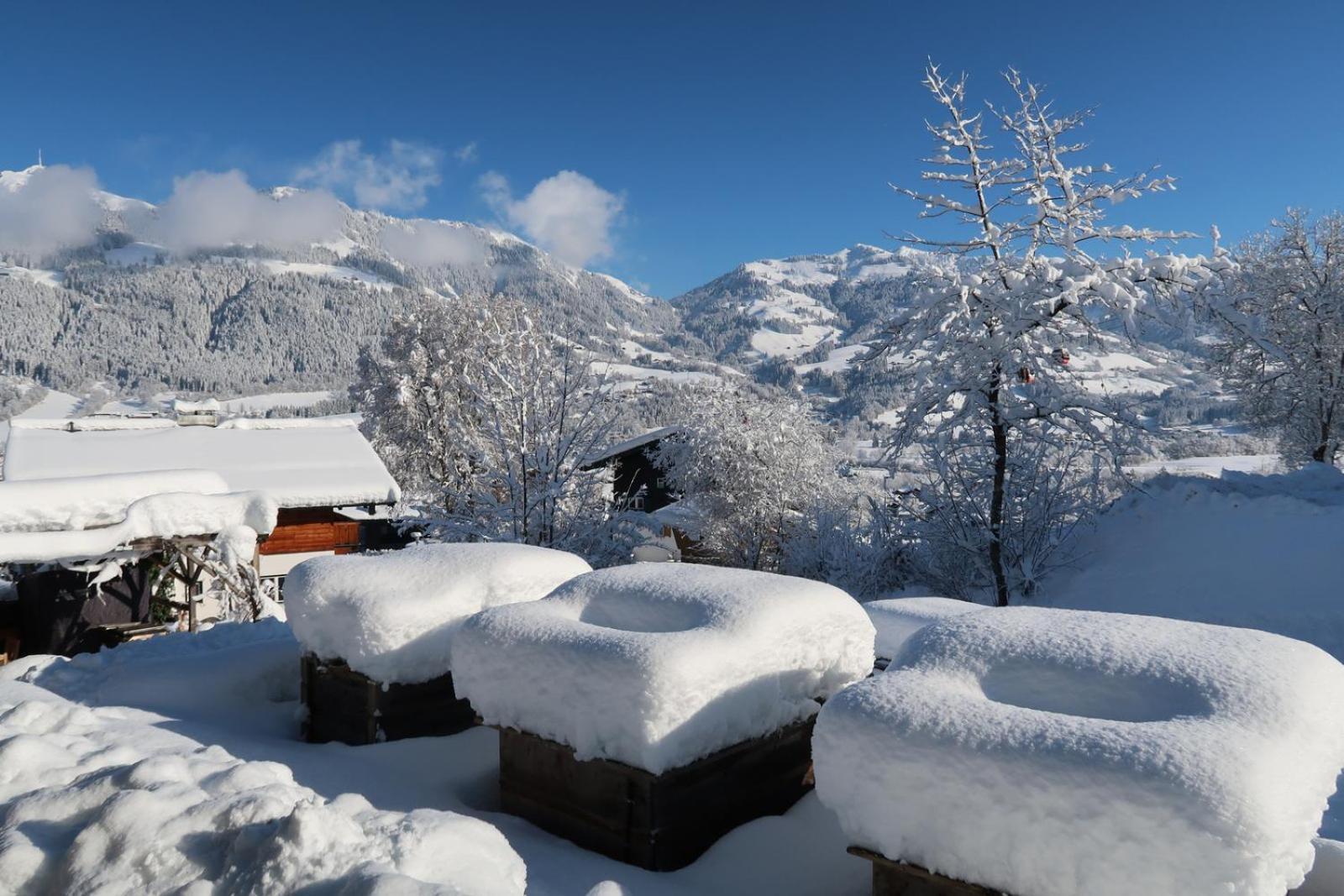 Retro Apartment Kitzbuehel Dış mekan fotoğraf
